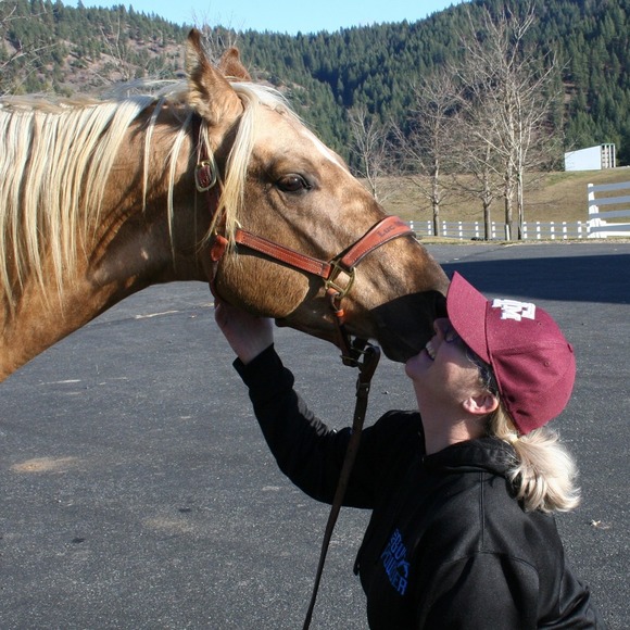 bhhorses